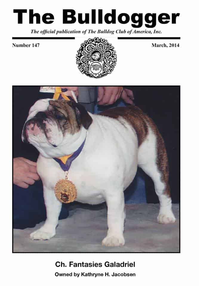 The Bulldogger The Bulldog Club of America