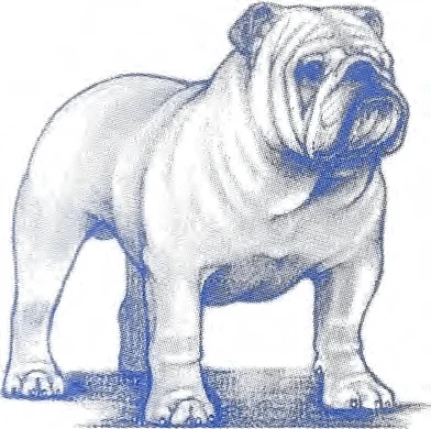 AKC Bulldog Breed Standard