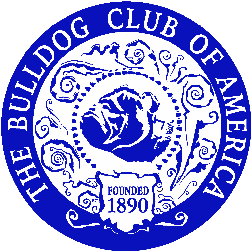 Bulldog club of america rescue sale network