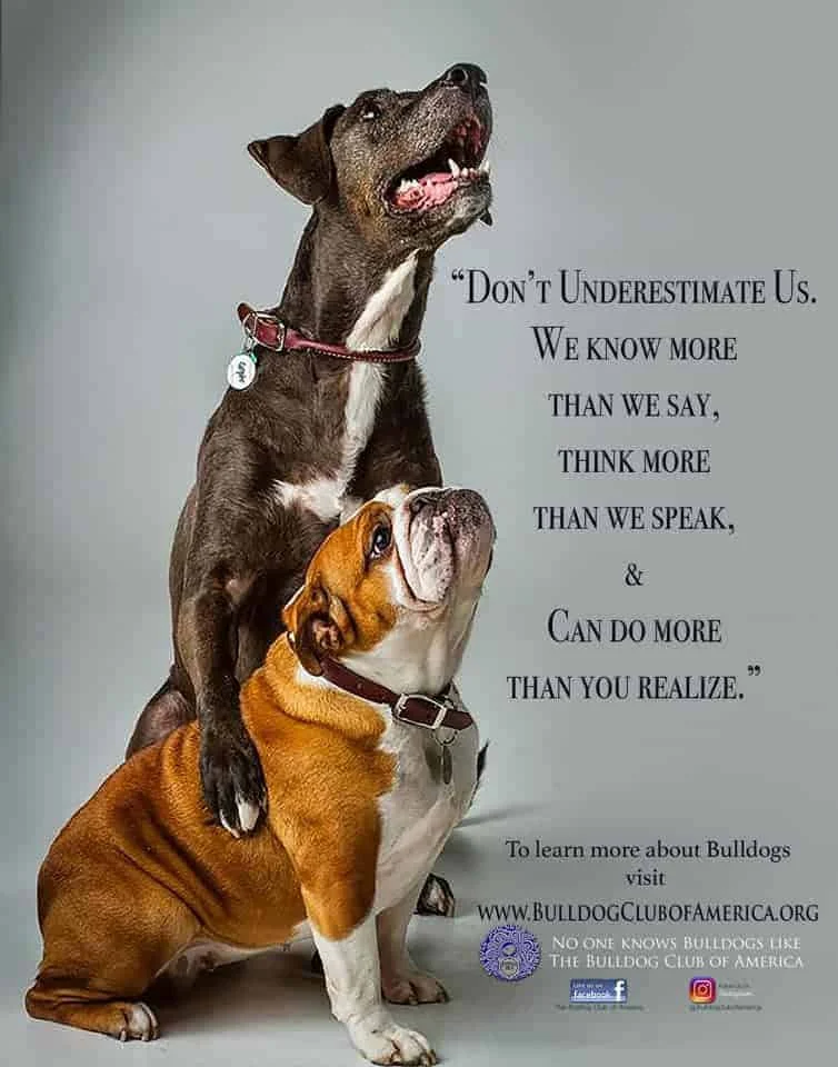 Advocacy Information