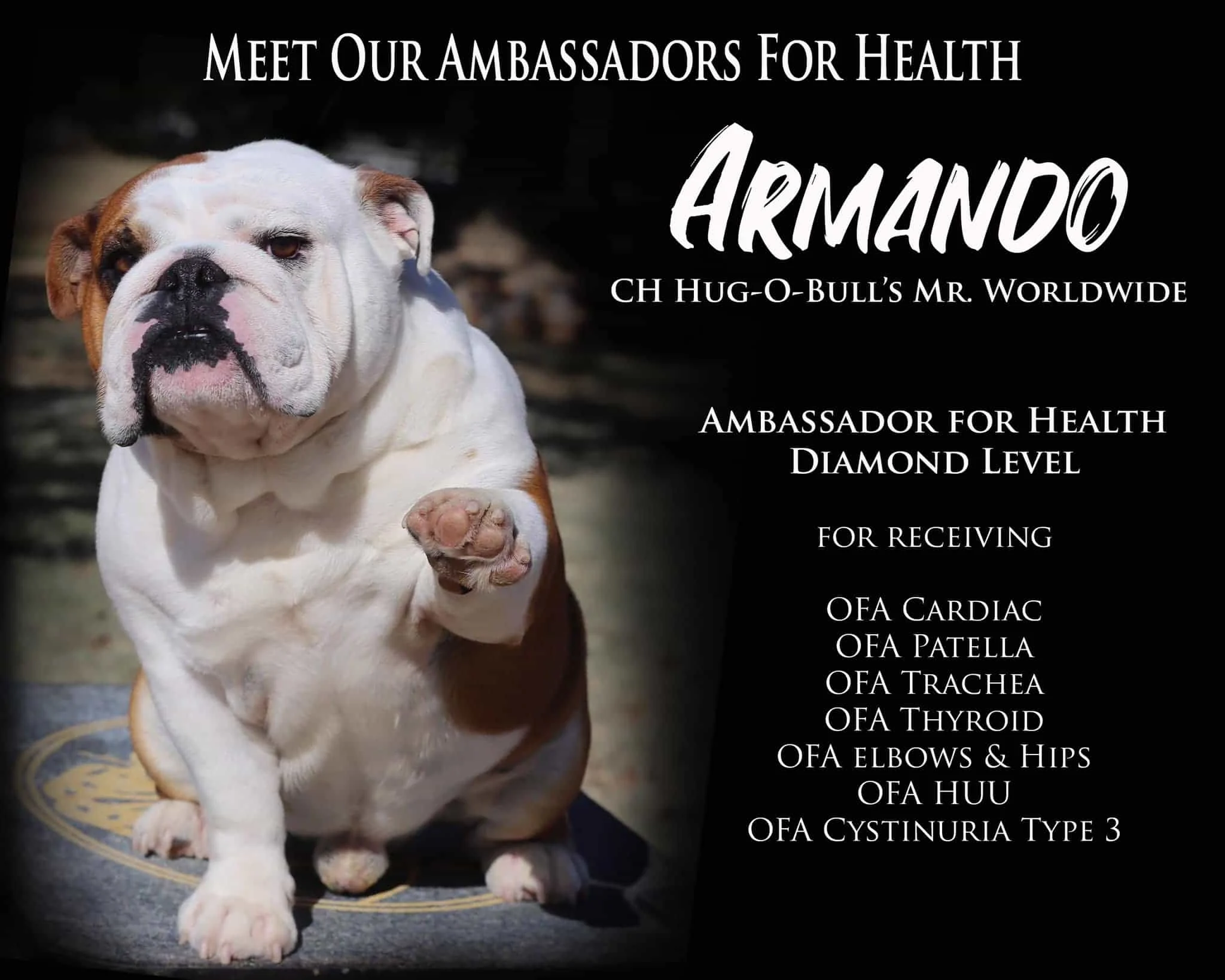 Armando