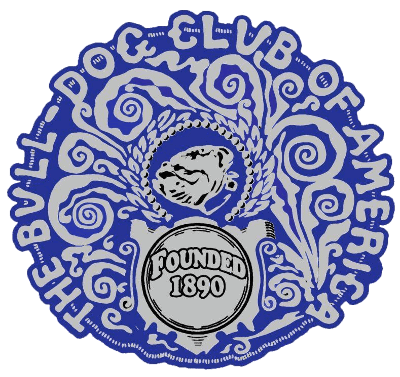 BCA Original Logo