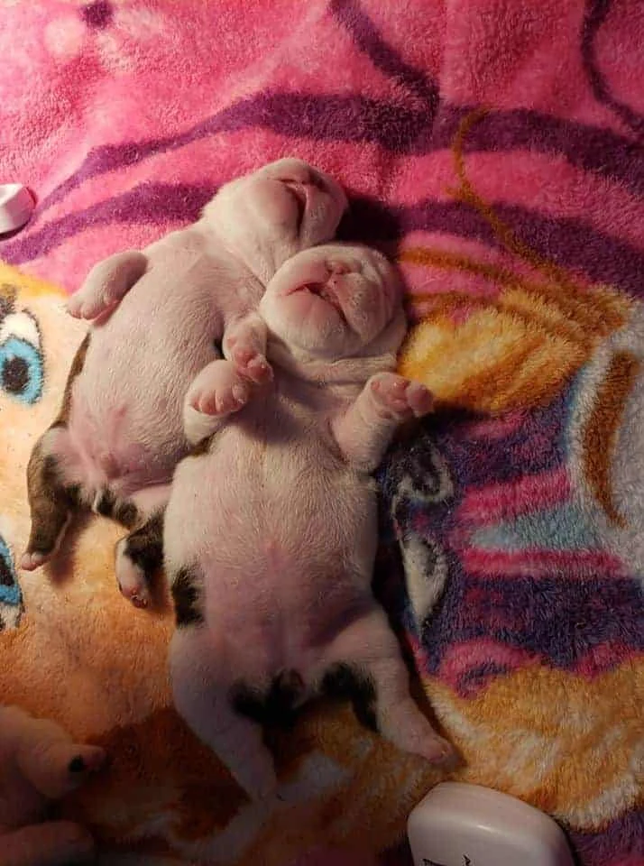 Sandra Fulton Cooper