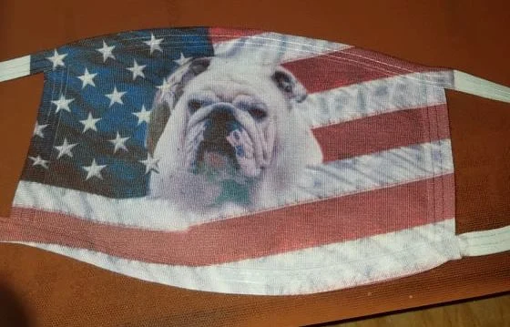 104590511_949121292175889_436162322661253601_n