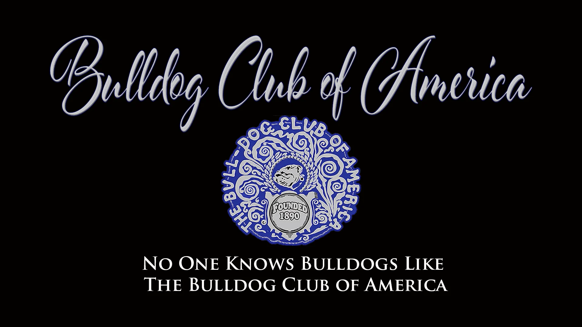 slide1 No one knows bulldogs like the bulldog club of america