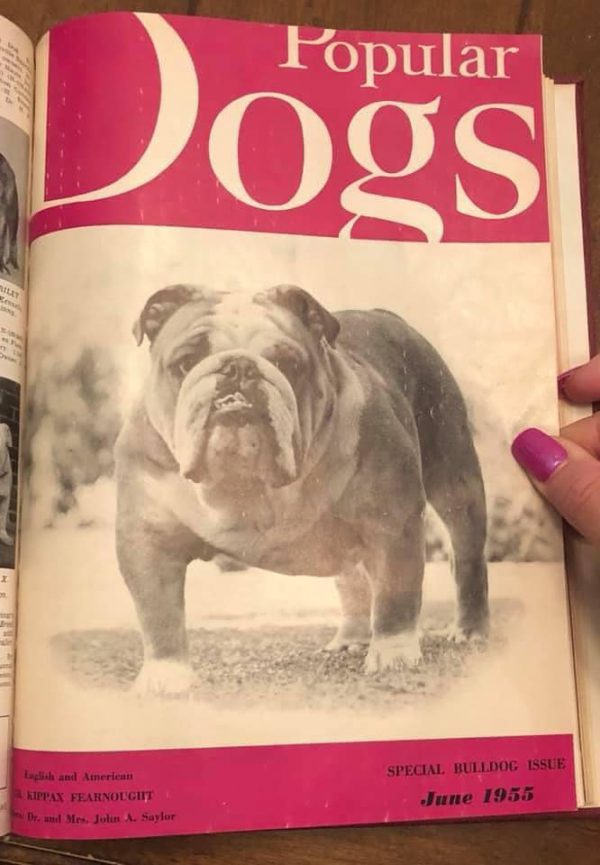 Bulldog History in Images - The Bulldog Club of America