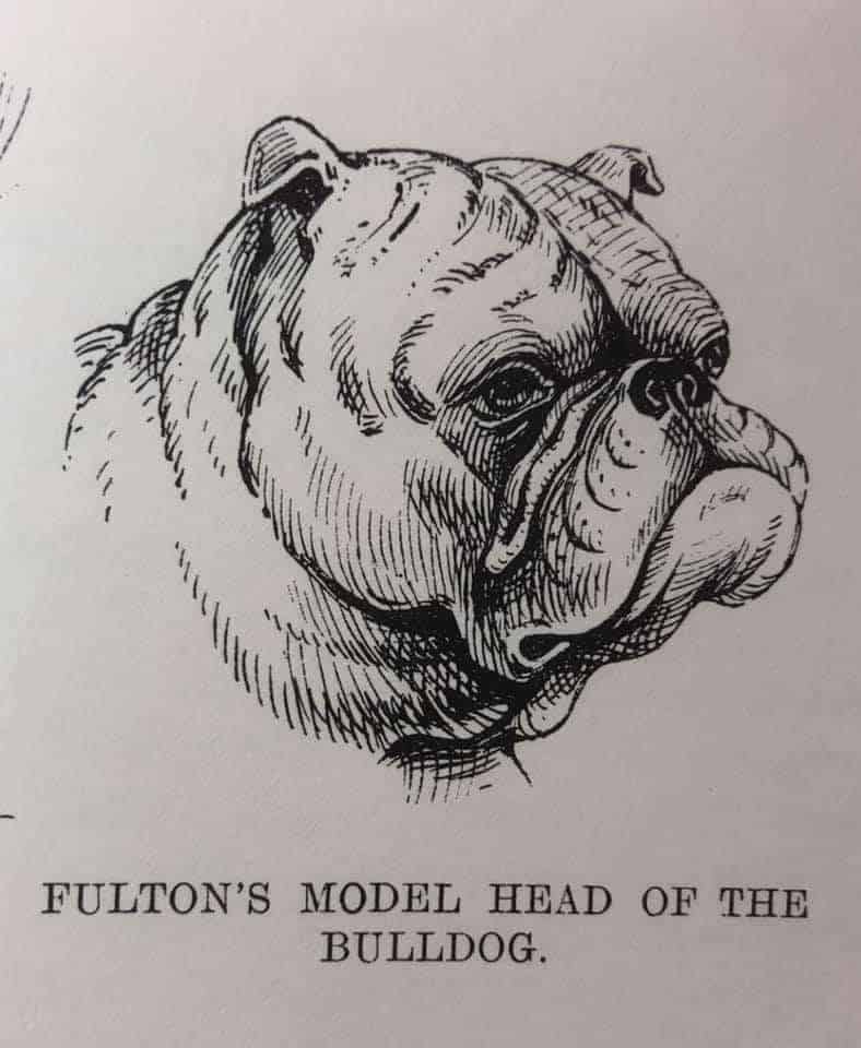 Fultons Model