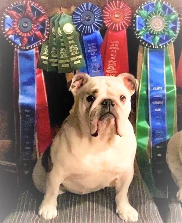 Oakley is the first Bulldog to title at the Master Champion levels of Rally
