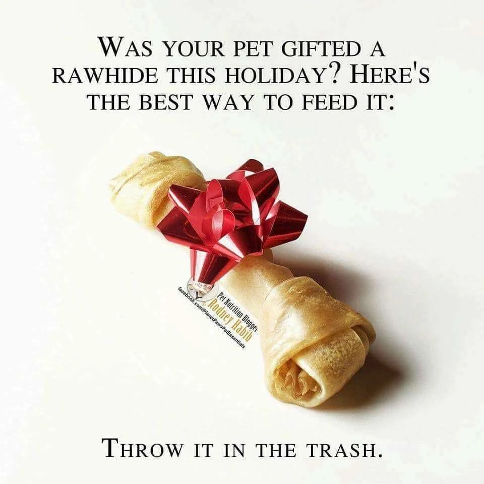 Say No to rawhide!