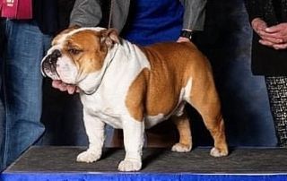 truman