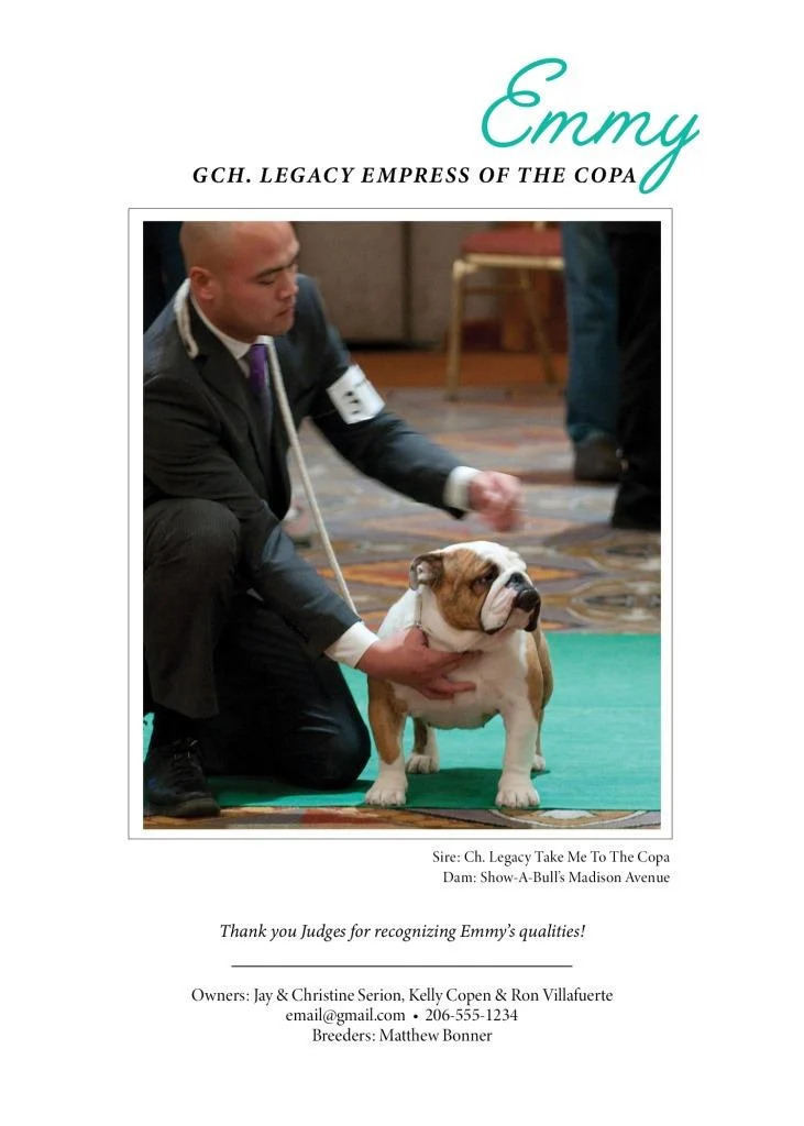 Bulldogger-TemplateB