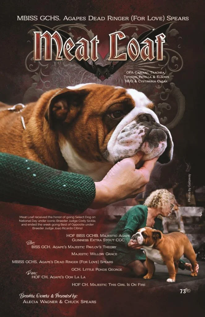 Fall-23-digitalv2 75