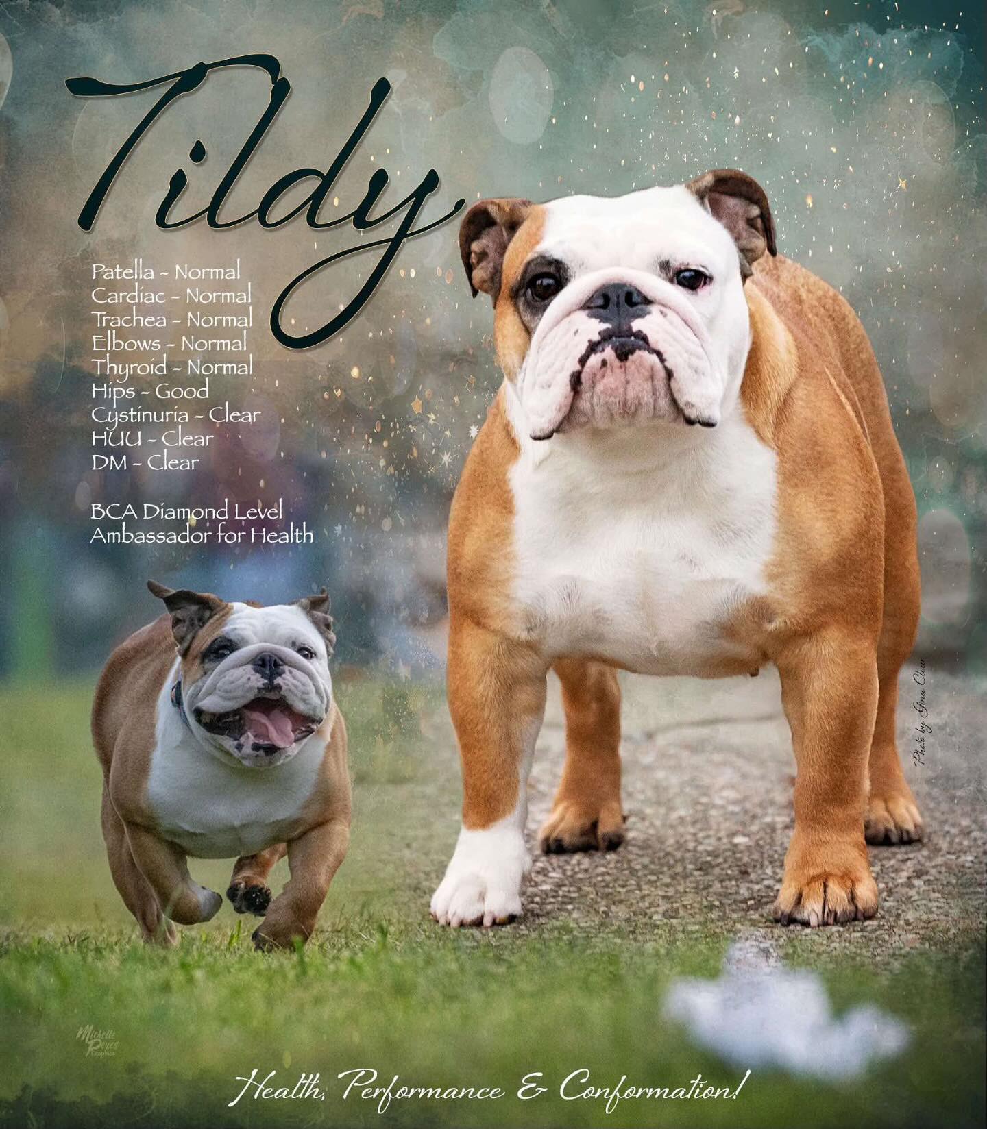 tildy