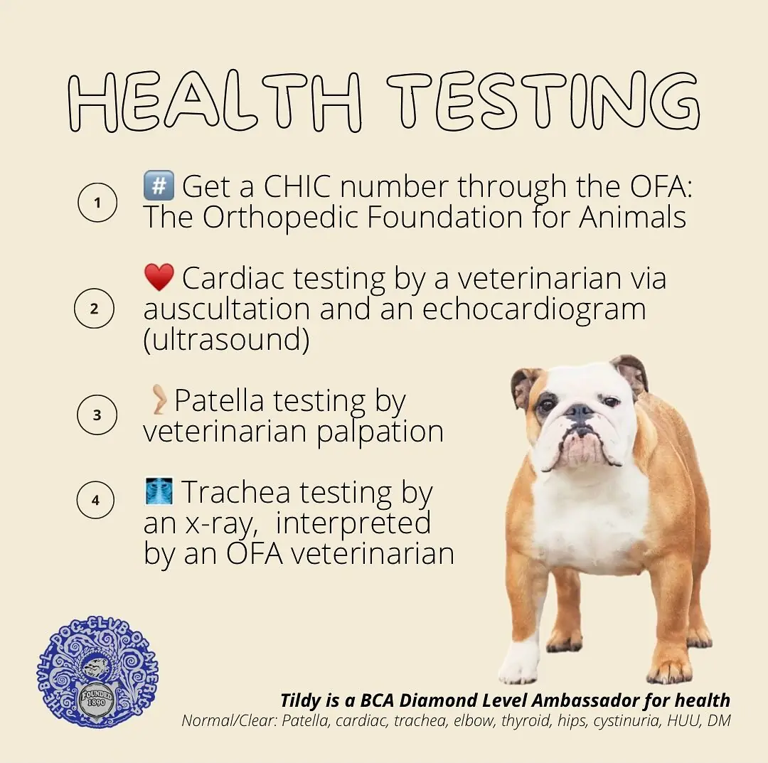 healthtesting