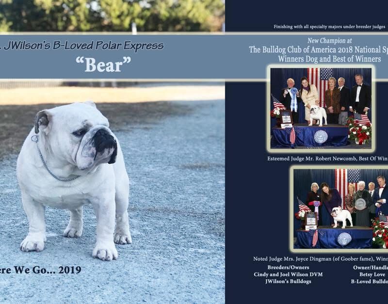 Classaybulldogs
