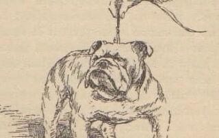bulldogdom