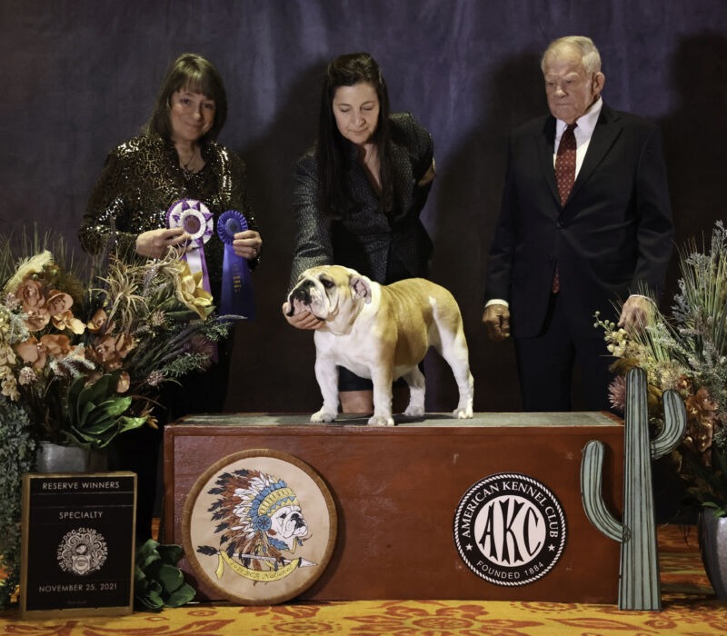 B-Loved Bulldogs, Betsy Love
