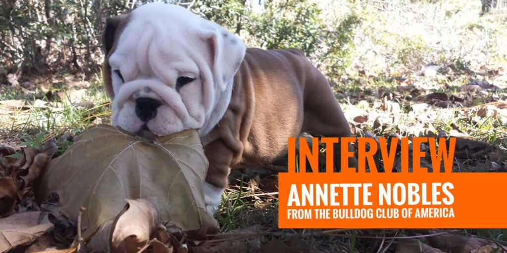 annettenoblesinterview