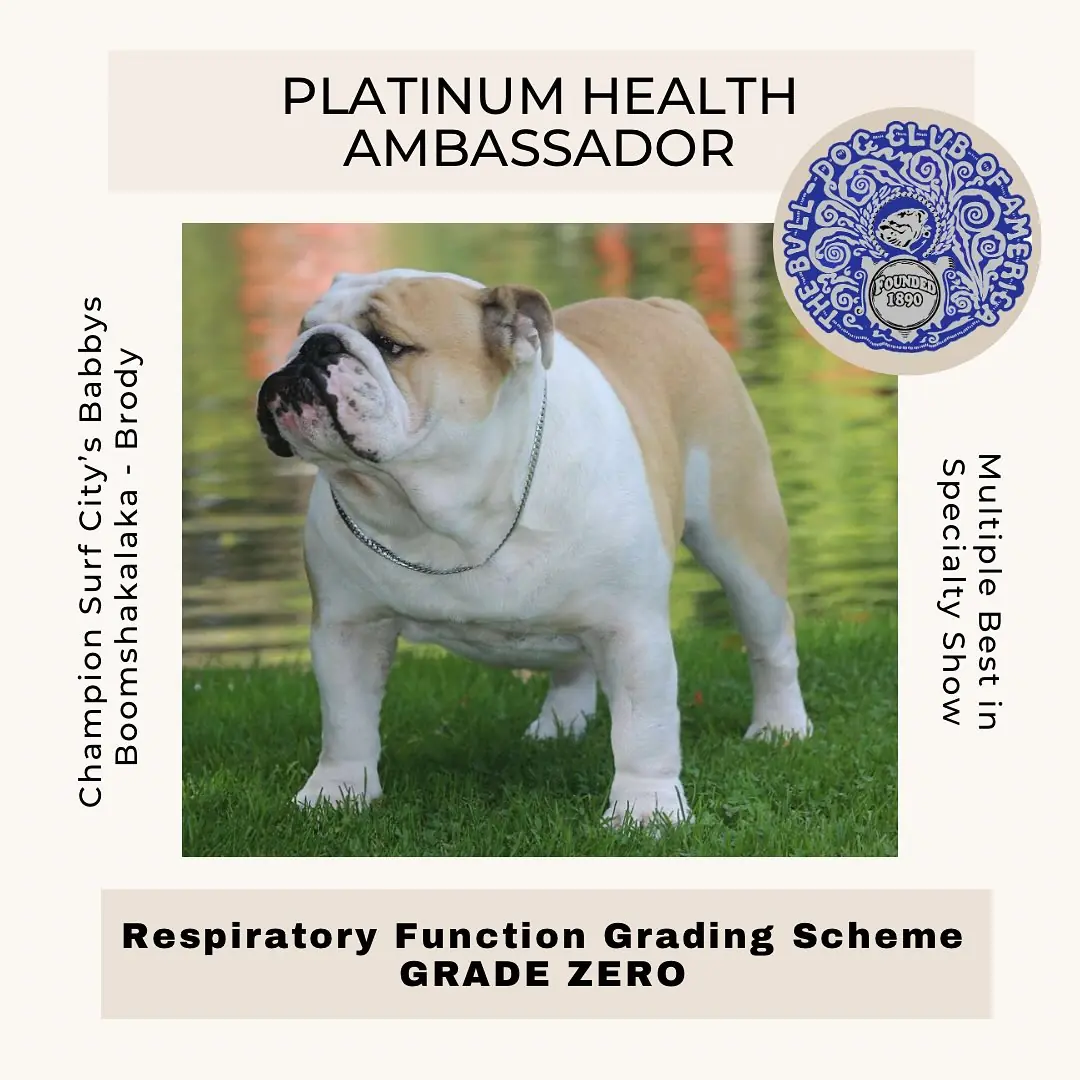 brodyhealthambassador
