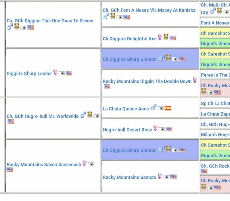 Rocky Mountain Bulldogs