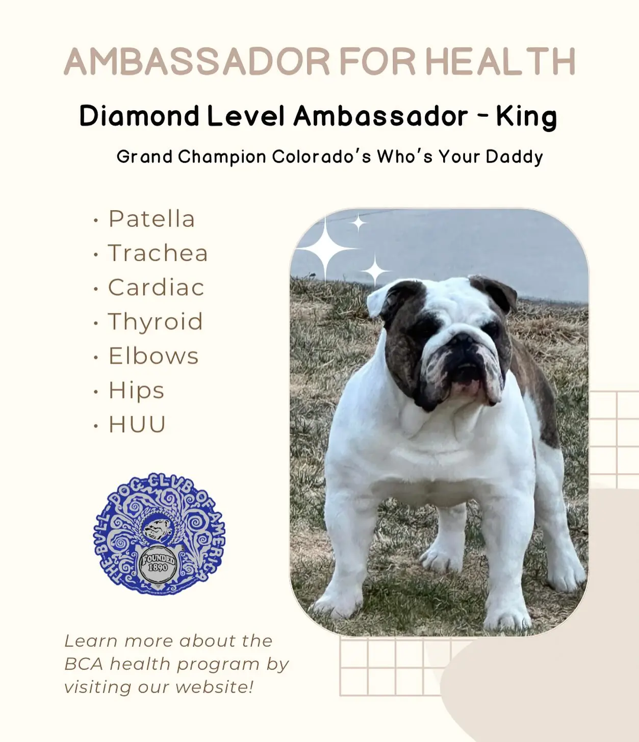 kinghealthambassador