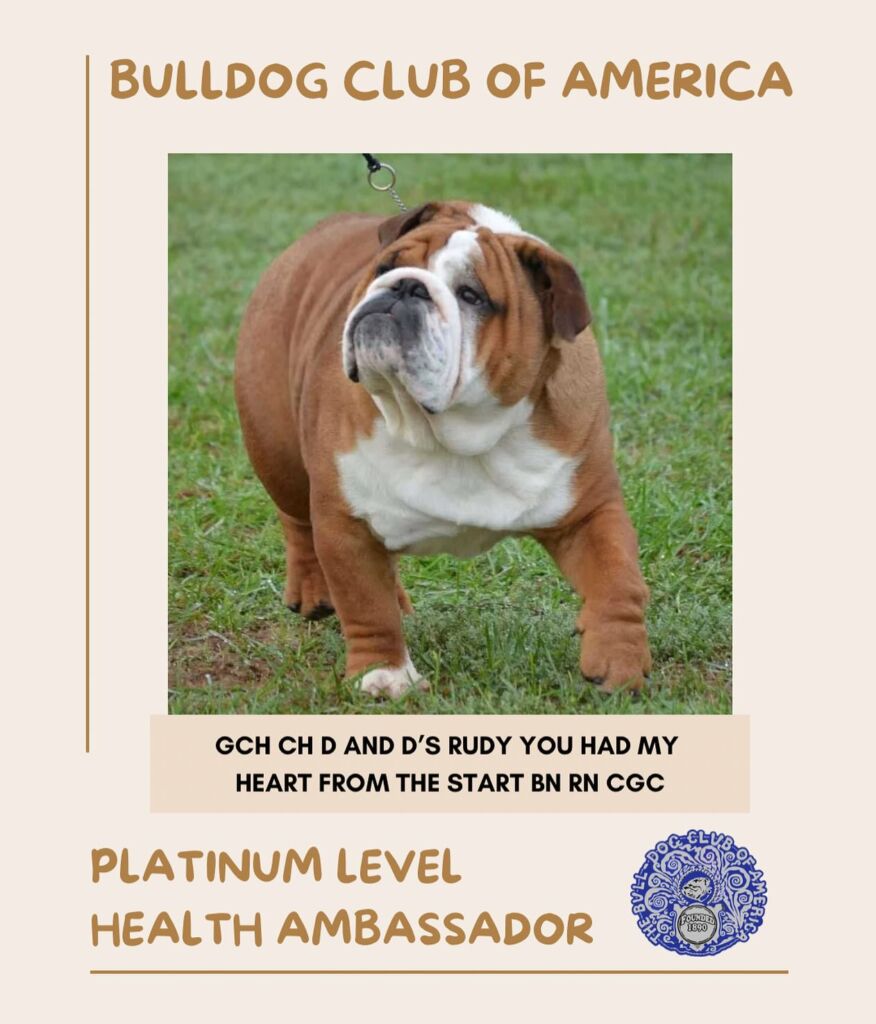 rudyhealthambassador