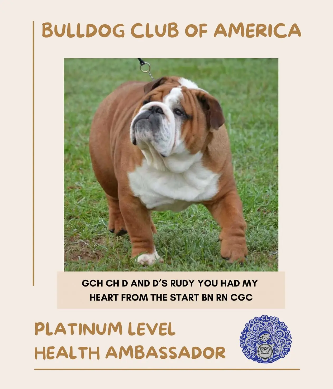 rudyhealthambassador