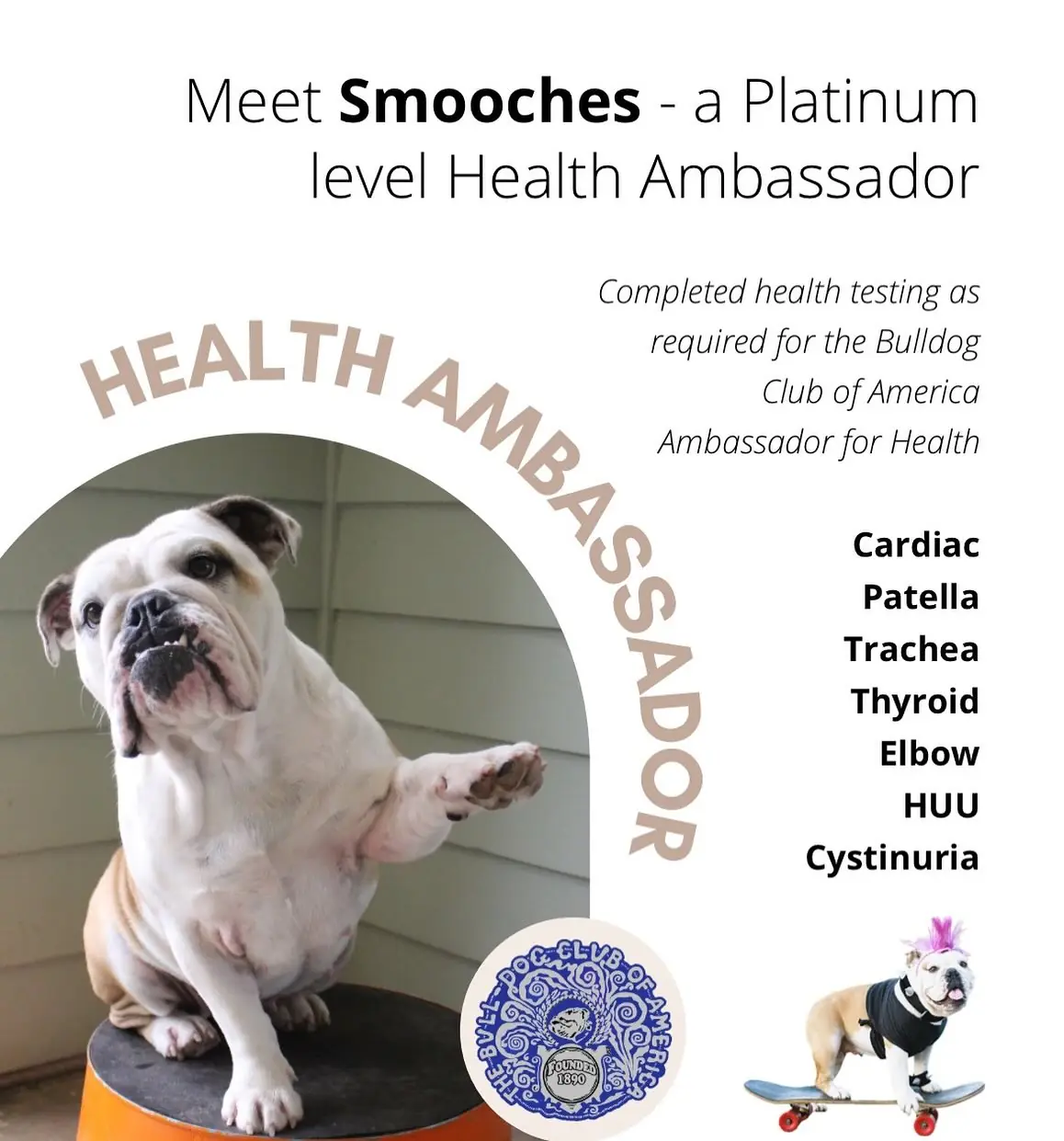 smoocheshealthambassador