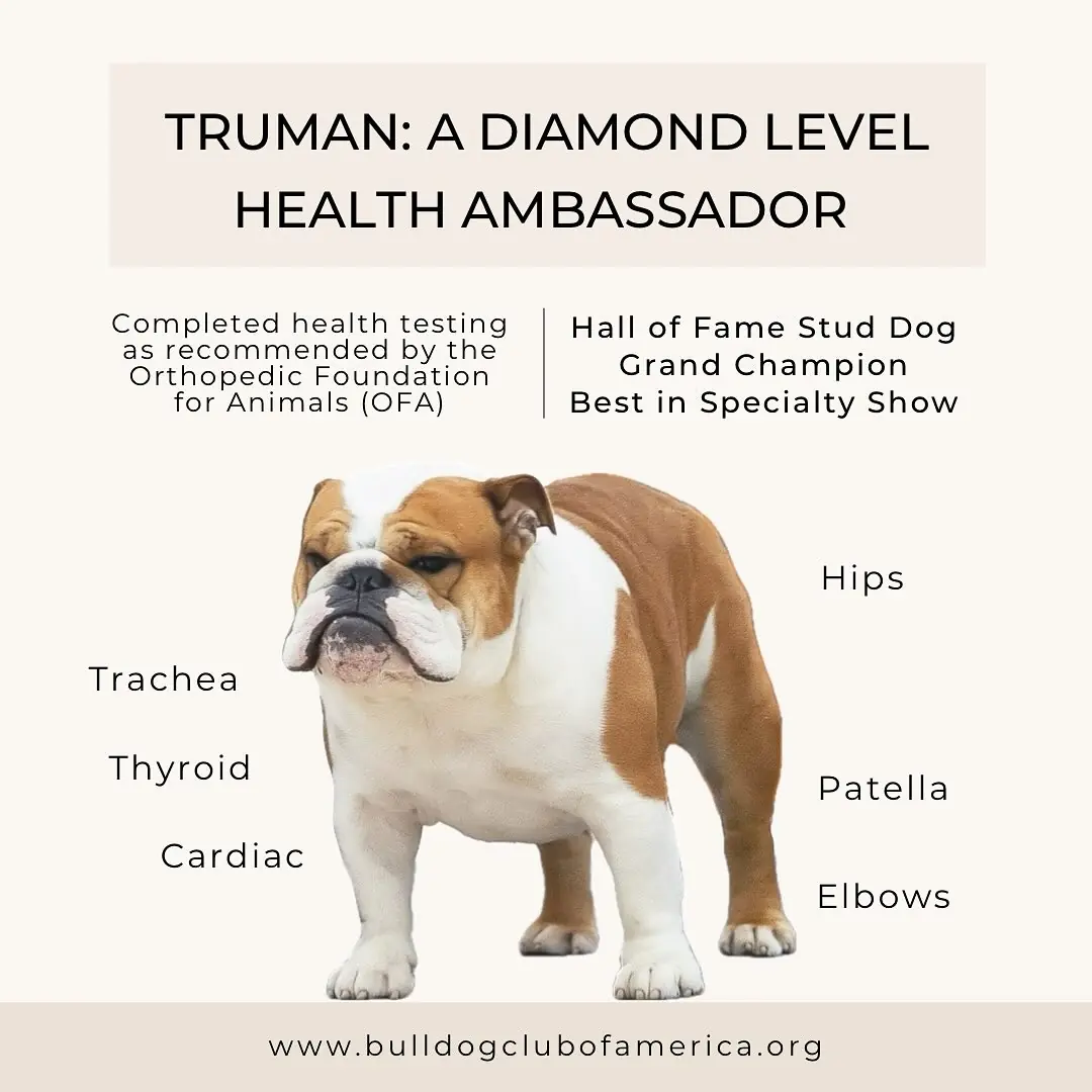 trumanafh