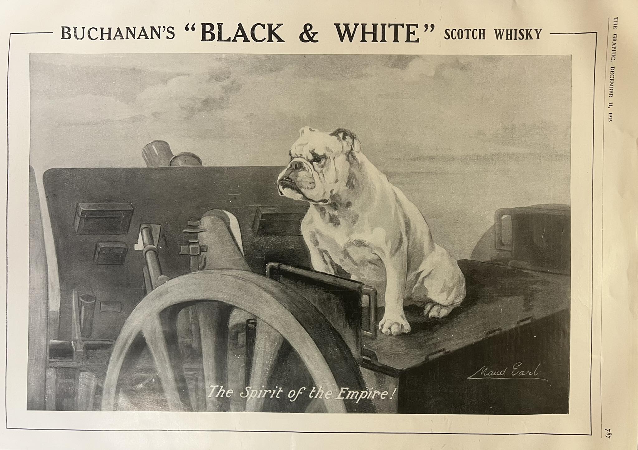 whiskybulldogad