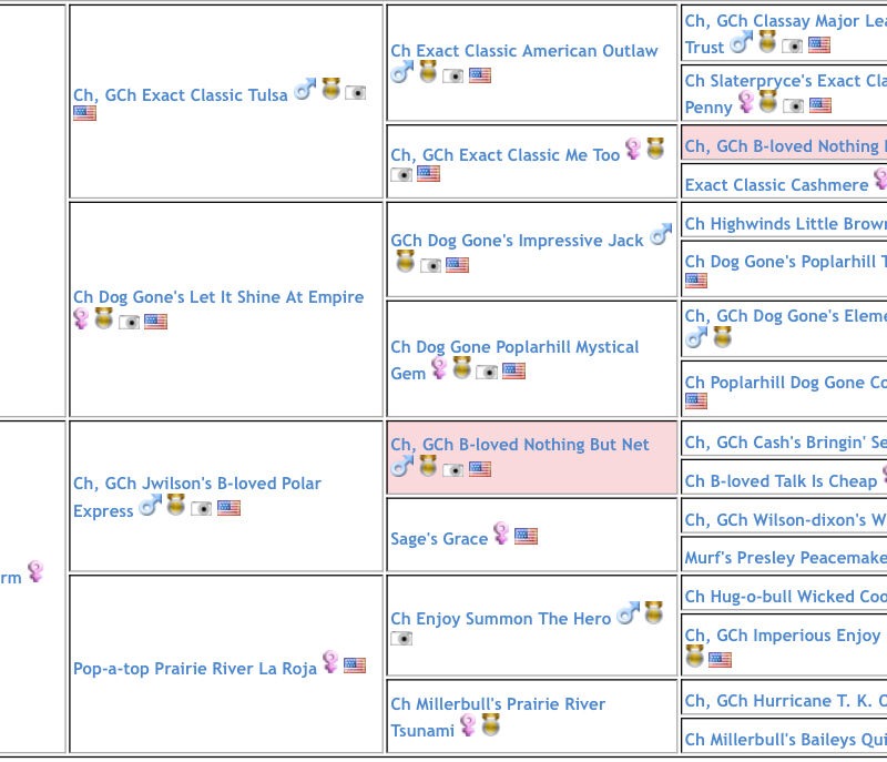 1 yr old female available