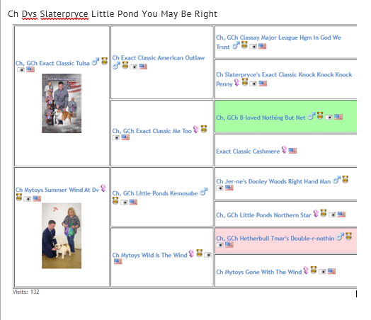 Slaterpryce Bulldogs LLC