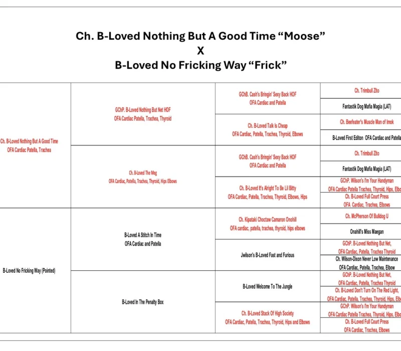 Ch. Moose and Frick, B-Loved Bulldogs