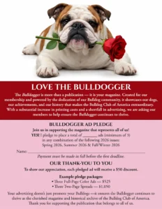 bulldogger ad pledge