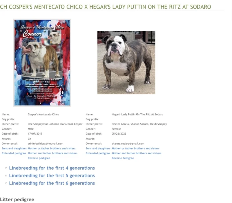 Trinity’s Bulldogs