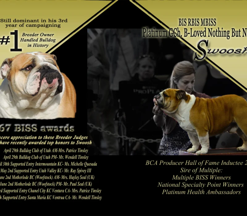 B-Loved Bulldogs, Betsy Love