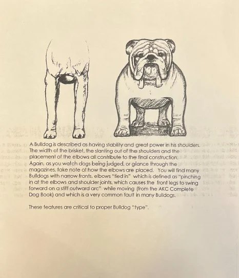 Proper Bulldog Type to open PDF