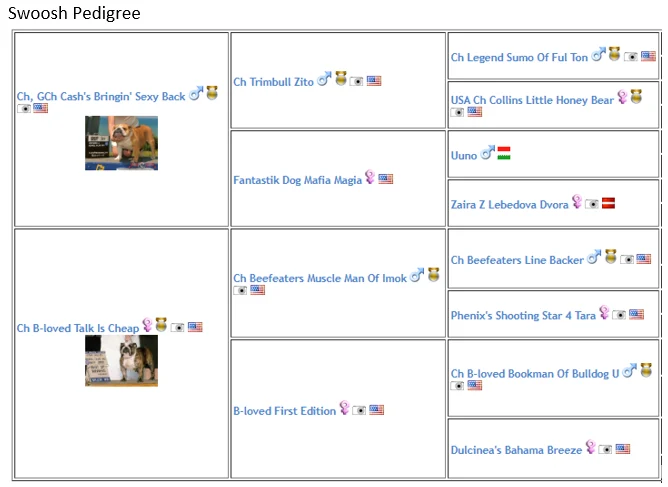 B-Loved Bulldogs, Betsy Love