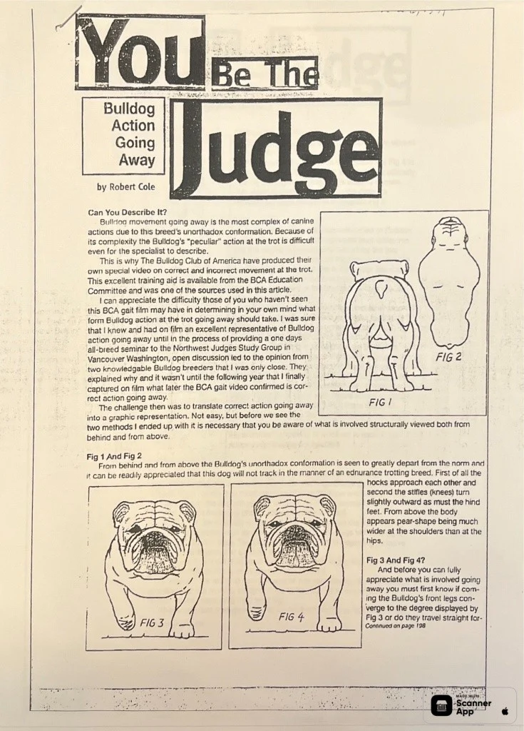 You Be The Judge - Click to open PDF