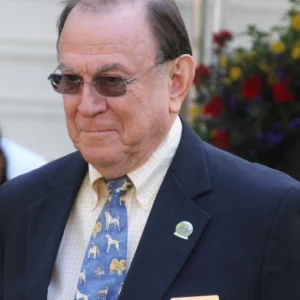 Robin Stansell