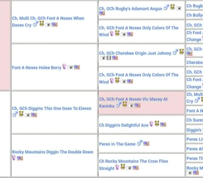 ROCKY MOUNTAIN BULLDOGS