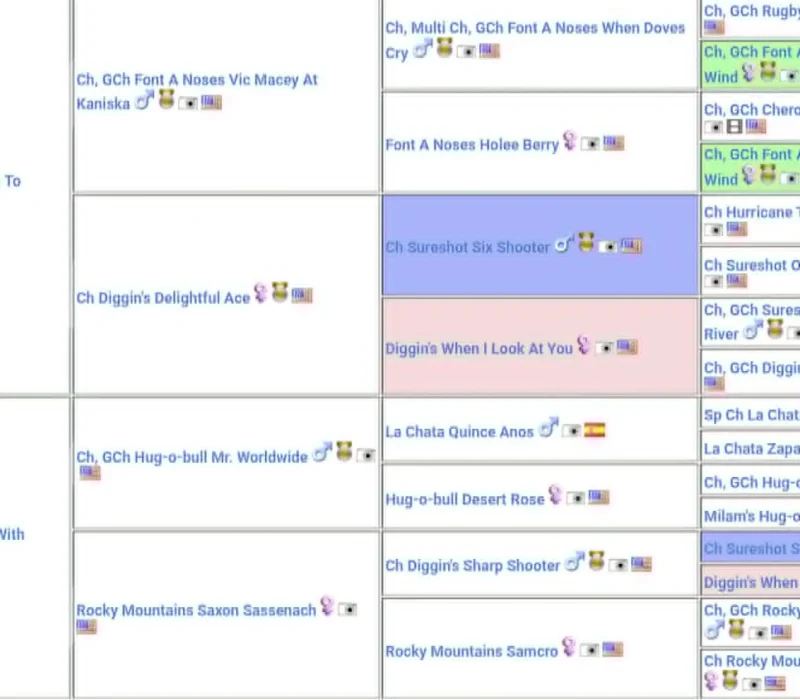 Rocky Mountain Bulldogs