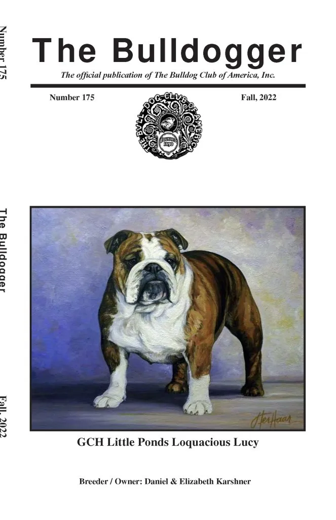 Bulldog