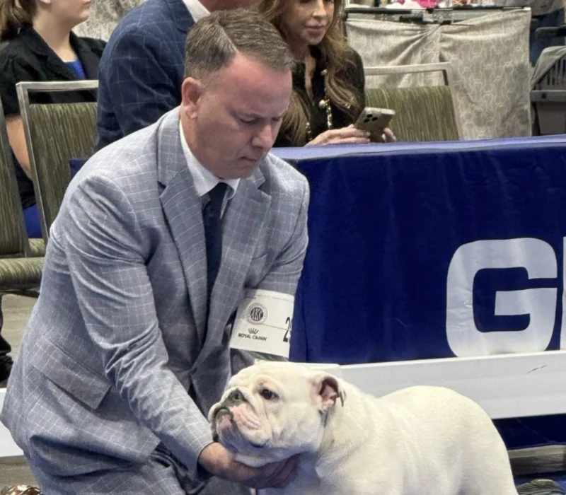 Encore Bulldogs