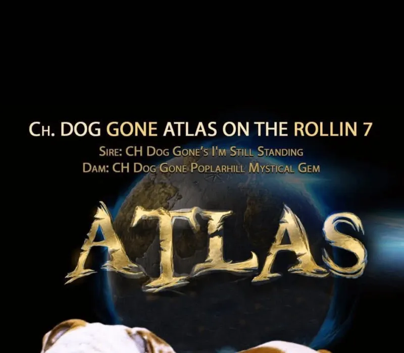 On The Rollin 7 Bulldogs