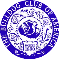 Canterbury Bullies