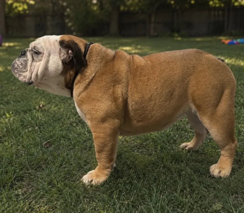 Young female available