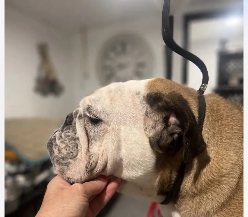 Young female available