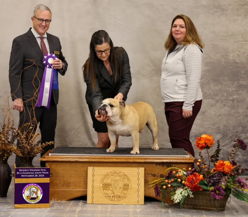 B-Loved Bulldogs, Betsy Love