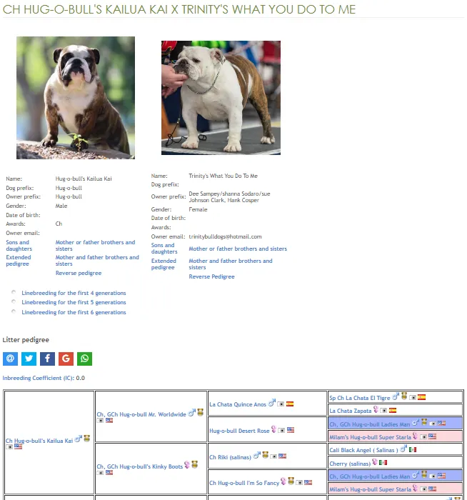 Dee Sampey Trinity Bulldogs
